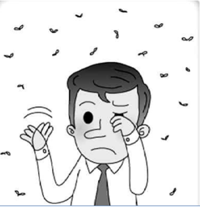 眼前總有小黑影？小心飛蚊癥！